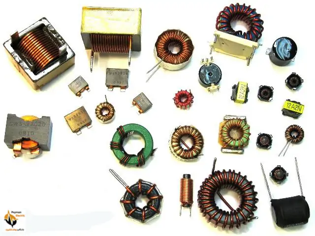 انواع سلف انواع سلف